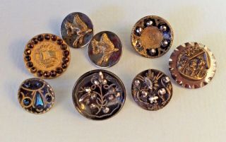 8 Antique Brass & Steel Buttons,  Buster Brown & Tige