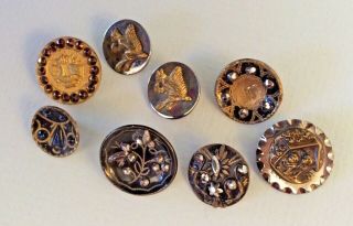 8 Antique Brass & Steel Buttons,  Buster Brown & Tige 2