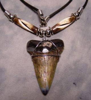 1 3/4 " Megalodon Shark Tooth Teeth Necklace Fossil Jaw Scuba Diver Stunning