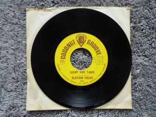 Rare Michigan Garage Psych Soul - Coconut Groove 2035 - Elation Fields - 45 - Vinyl