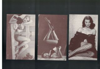 1950s Exhibit Supply Co.  Placards X 9 Pinups Lingerie Etc.  All Different