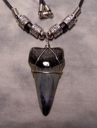 1 7/8 " Mako Shark Tooth Teeth Fossil Necklace Jaw Megalodon Scuba Diver