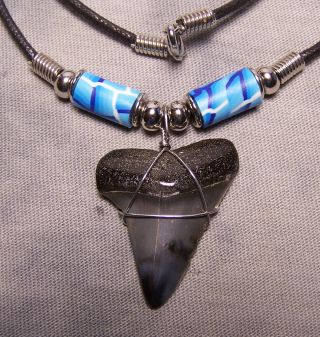 Cool 1 3/8 Mako Shark Tooth Teeth Necklace Fossil Jaw Megalodon Surfer Meg Dive