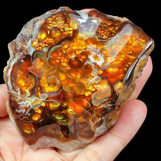 644.  25ct 100 Natural Mexican Multi - Colored Fire Agate Facet Rough Yfmg11