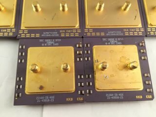 8 SAMSUNG/DEC ALPHA 21264/21164 GOLD VINTAGE CERAMIC CPU FOR GOLD SCRAP RECOVERY 3