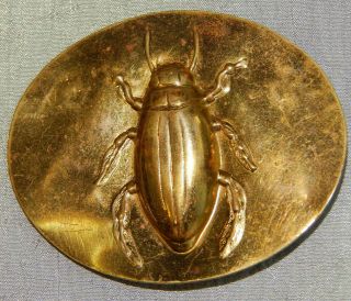 Antique 3 - D Brass Picture Button Bug Beetle 1&1/2 " Xl 827 - A