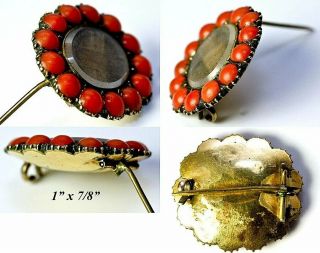 Lovely Antique Georgian Era Victorian Mourning Brooch,  Hair & Red Coral