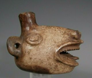 Pre - Columbian Peru Pottery Llama Head Vessel Moche Or Inca Ca.  400 - 1400 Ad