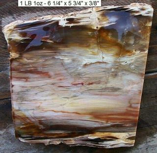 Cherry Creek Nv Plank Cut Petrified Wood Slab - Stunning Colors And Grains