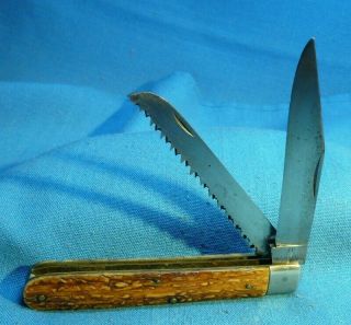 Vintage Zwilling J.  A.  Henckels Germany Bone Pocket Knife With Saw "