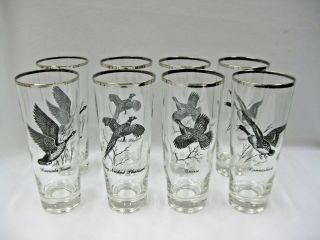 8 Vintage Federal Glass Barware Gamebird Pilsners Glasses W/ Platinum Trim