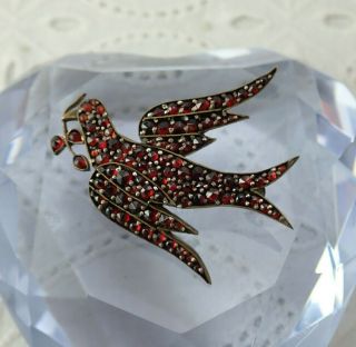 Victorian Antique Rose Cut Bohemian Garnet Peace Dove Bird Pin Brooch