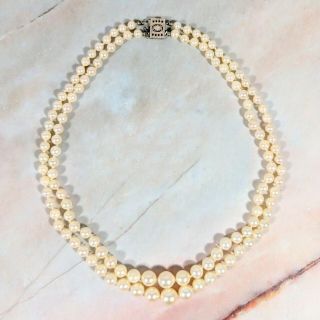 Vintage Gorgeous White Pearl Double Strand Choker Necklace 15 " (great)