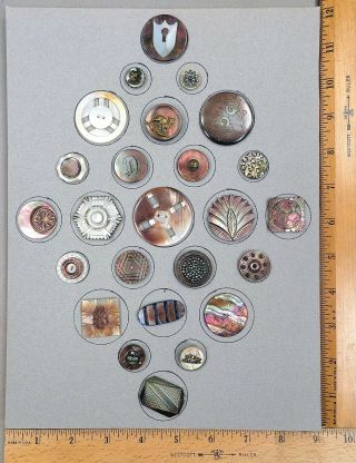 Card Of 25 Antique Buttons,  Assorted 1800s Mother - Of - Pearl,  Various Mop Designs