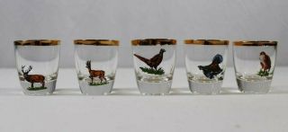 German Ruhrglas Schnaps Shot Glasses Gold Trim Wildlife Game Animals Set Of 5