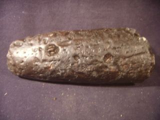 Fossilized Dugong Rib Bone Venice,  Florida 2