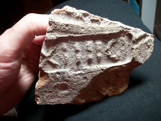 Rare Terracotta Roman Legion Xiv Gemina Tile/brick Fragment,  C.  1st - 4th Century