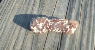 Pink Calcedony Petrified Wood Texas Springs Nevada Limcast
