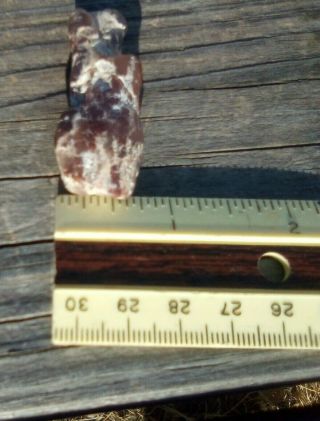 Pink Calcedony Petrified Wood Texas Springs Nevada Limcast 3