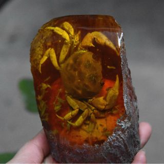 Made By Hand Amberinsect Specimens Furnishing Articles - Crab