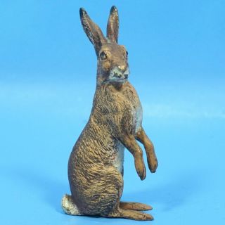 4 " Antique Austrian Vienna Bronze Bergmann? Cold Painted Rabbit Hare Hunt C1890