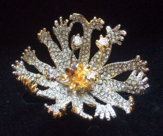 Joies Salvador Dali Inspired Art In Jewels “the Living Flower “ Pin/ Brooch Qvc