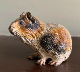 Antique Cold Painted Vienna Bronze Guinea Pig Pet Signed