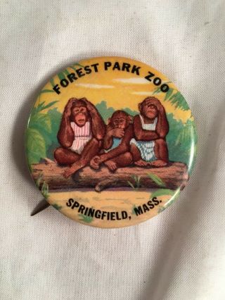 Forest Park Zoo Springfield Massachusetts Monkeys Vintage Old Pin Button