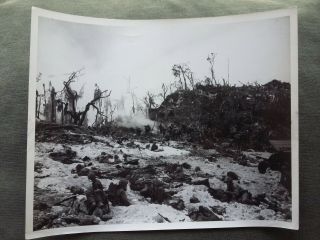 Ww2 Photo Usmc Marine 1st Division Pinned Down On D - Day Peleliu 1944