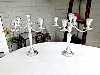 Pair Vintage Alvin Sterling Silver 5 Light Convertible Candelabras,  12 ",  Perfect