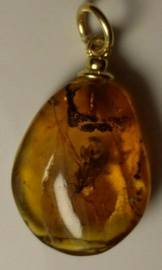 Insect Inclusion Baltic Amber Silver Gold Plated Pendant 1 G.