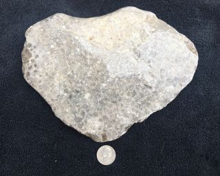 Large Unpolished Petoskey Stone 3 Pounds,  14oz.  Hexagonaria