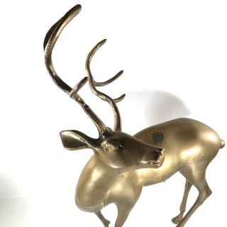 Brass Buck Deer 18” Lge Figurine Statue Vtg Mid Century Rosenthal Netter Hollow 2