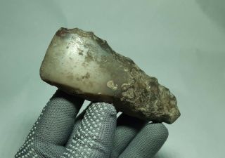 Rare Cucuteni - Trypillian Culture Neolithic Tool Stone Axe Adze 5200 - 3500bc 16
