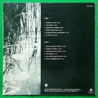 Big Chance Michael Franks - Dragonfly Summer ' 93 korea vinyl lp 12trax EX,  toNM - 2