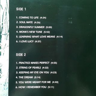 Big Chance Michael Franks - Dragonfly Summer ' 93 korea vinyl lp 12trax EX,  toNM - 3
