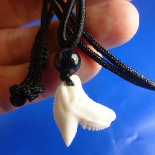 Great White Tiger Shark Tooth Necklace Pendant Chain
