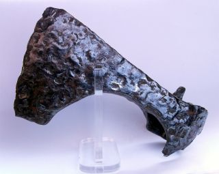 UK find - Rare ancient Viking iron axe head - Skeggøx Type V 2