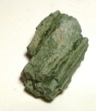 Chromium Extremely Rare Green Petrified Wood Log Arizona 44mm