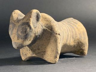 Intact Large Ancient Indus Valley Harappan Culture Animal Idol Circa 2200 - 1800bc