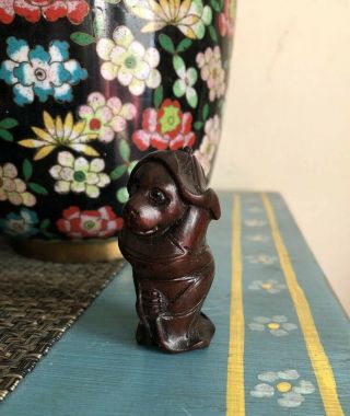 Tanuki Racoon Dog Wrapped In Lotus Plant Signed Carved Netsuke 2