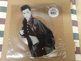 Prince Kiss Shaped Picture Disc In Rare Stickered Pvc Sleeve