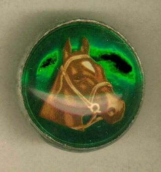 Horse Head On Green Under Glass Bridle Rosette By: H.  A.  Chapman