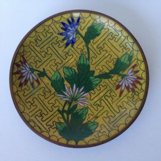 Antique Vintage Chinese Cloisonne Enamel Saucer Dish W Chrysanthemums " China "