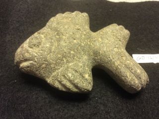 Gd - 12/2b Pre - Columbian Southern Arawak Basalt Fish Ca600 - 900ad