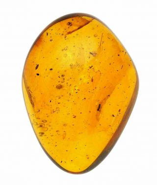 Burmese Amber Gemstone,  Fossil Inclusion,  Swarm Of 4 Insects