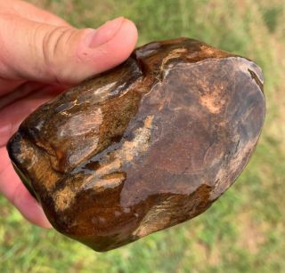 River Polished Agatized Texas Petrified Palm Wood Egg Agate