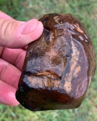 River Polished Agatized Texas Petrified Palm Wood Egg Agate 3