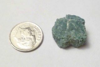 17mm Chromium Extremely Rare Green Petrified Wood Limb Section Arizona