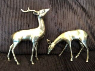 Vintage Heavy Brass Deer Figurines Buck And Doe 8 " And 5 "